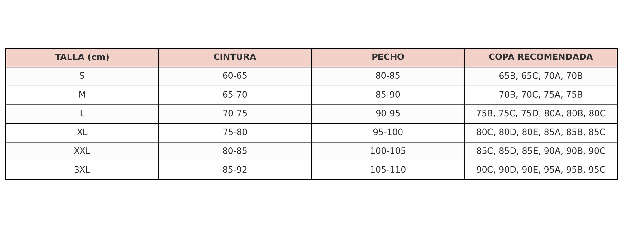 Guía de tallas — Divine® - Body tanga sexy de encaje con escote en V y espalda descubierta