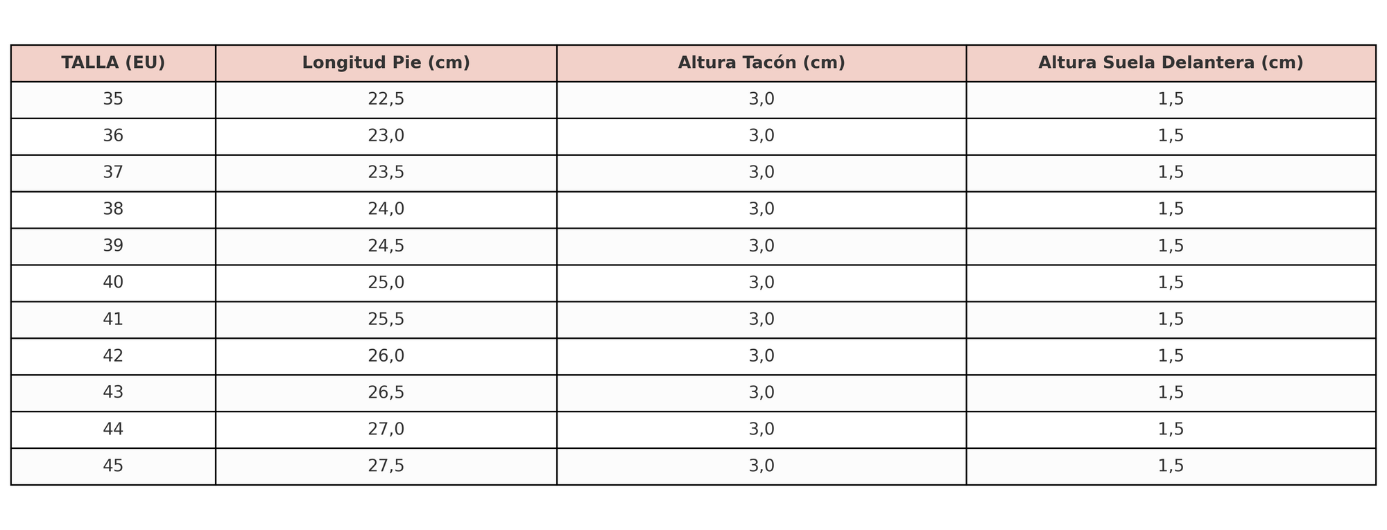 Guía de tallas — VITTORIA|SANDALIAS MOSAICO